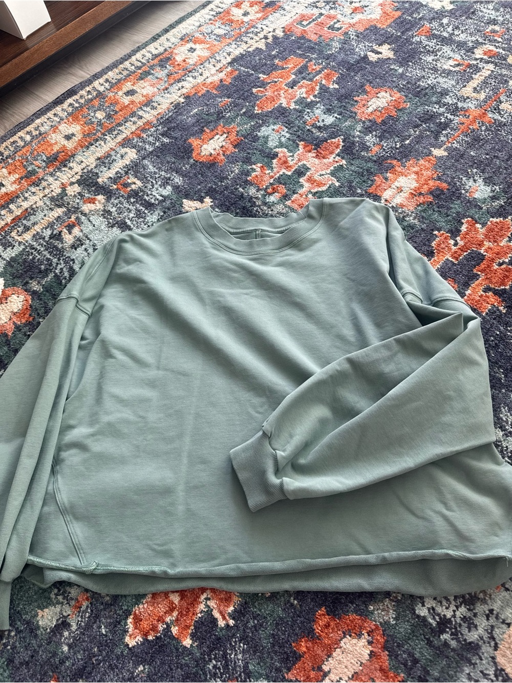 Women’s Crewneck Sweatshirt in Sage Green